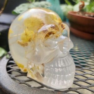 Resin skull